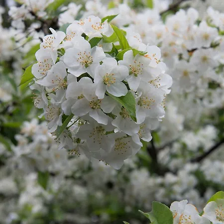 Ξενοδοχείο Marine Raseborg