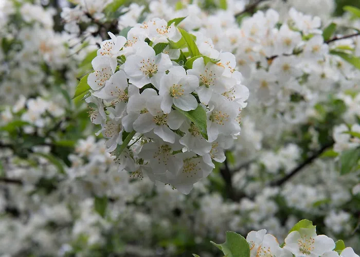 Отель Marine Расеборг